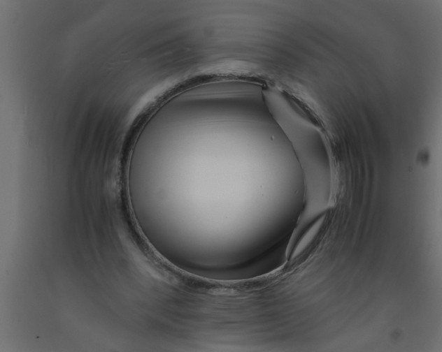 X0000090860392200708241903