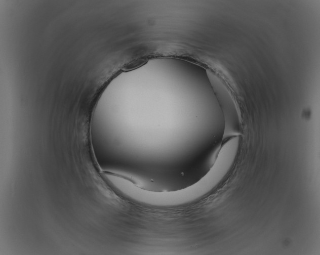 X0000090860393200708241903