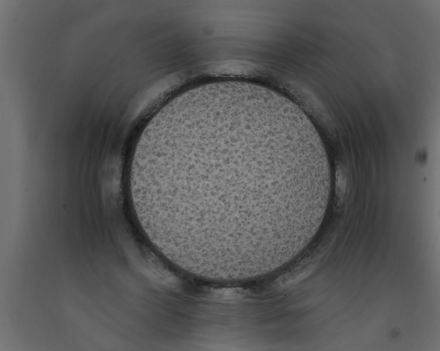 X0000090860396200708241903