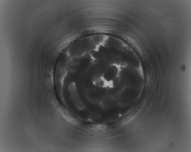 X0000090860398200708241903