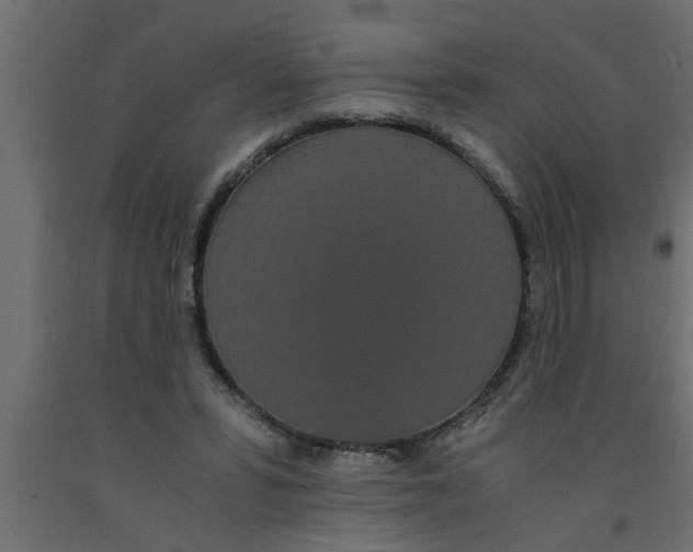 X0000090860399200708241903