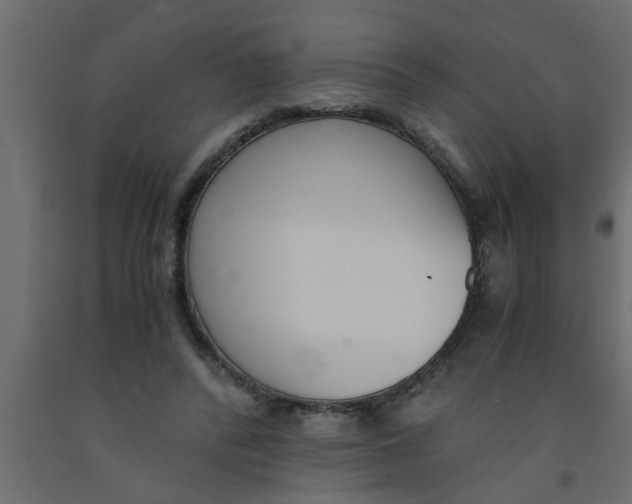 X0000090860400200708241903