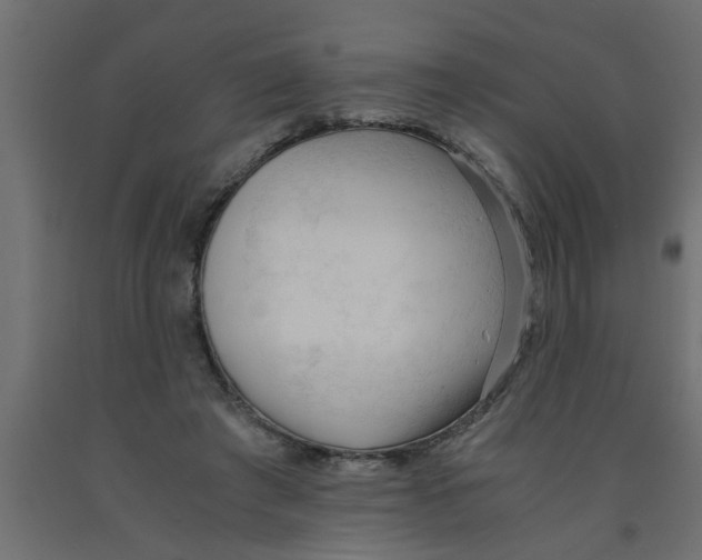 X0000090860401200708241903