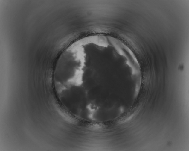 X0000090860402200708241903