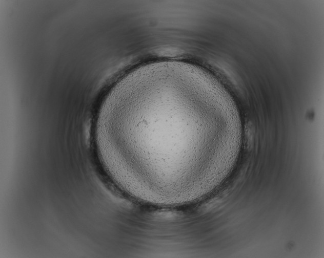 X0000090860404200708241903