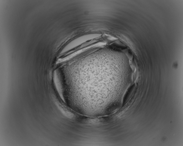 X0000090860405200708241903