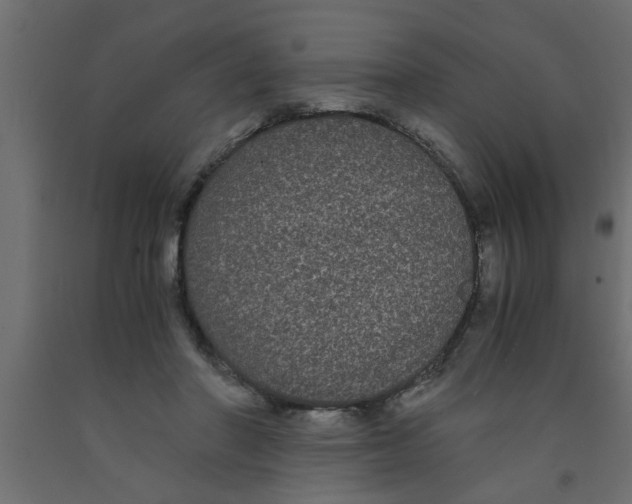 X0000090860406200708241903