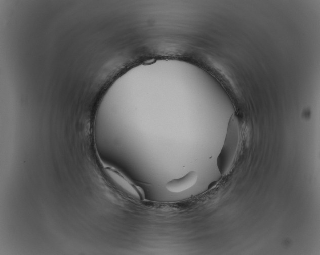 X0000090860407200708241903