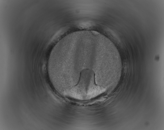 X0000090860408200708241903