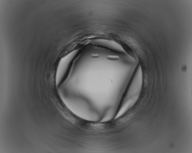 X0000090860409200708241903