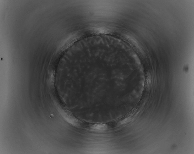 X0000090860410200708241903