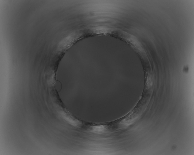 X0000090860411200708241903