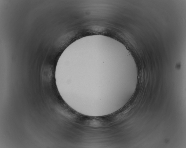 X0000090860412200708241903