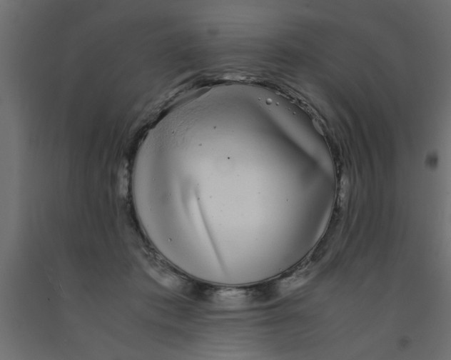 X0000090860413200708241903