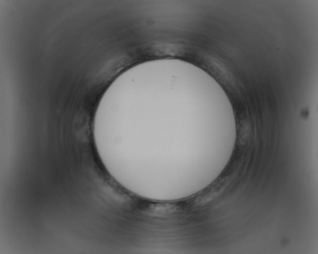 X0000090860414200708241903