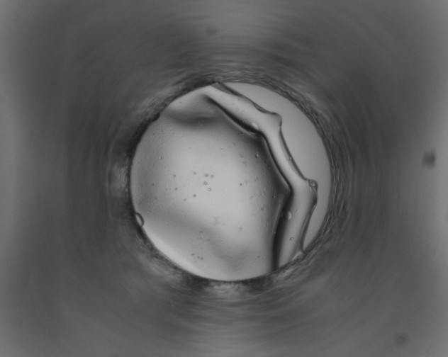 X0000090860417200708241903