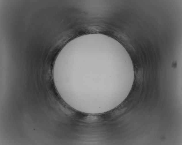 X0000090860418200708241903