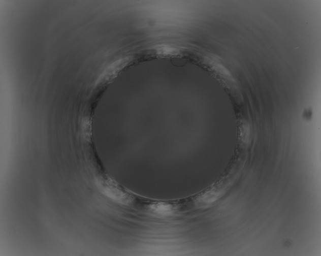 X0000090860419200708241903