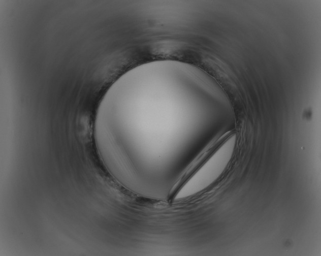 X0000090860420200708241903