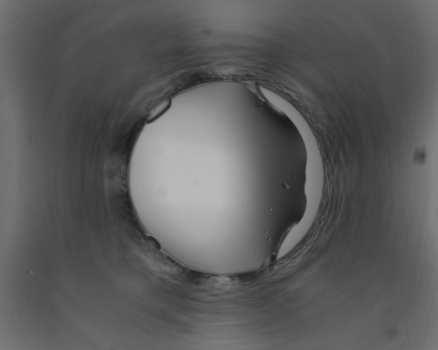 X0000090860421200708241903