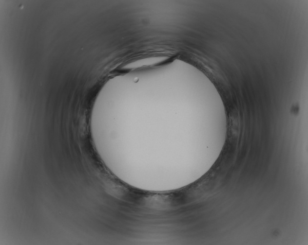 X0000090860422200708241903