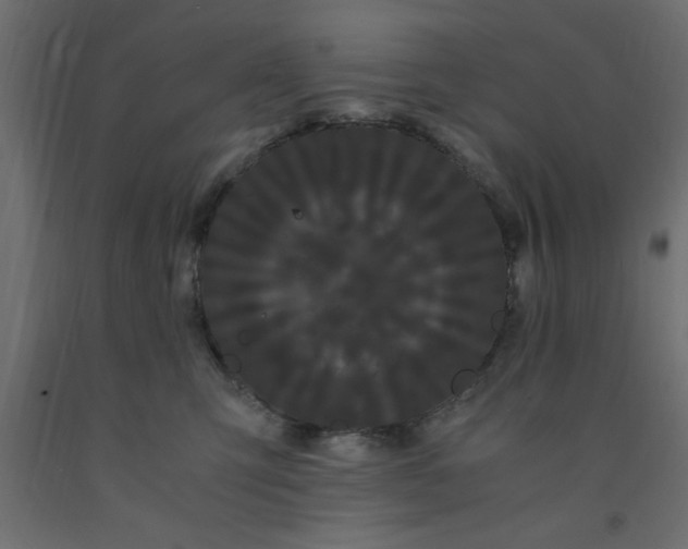 X0000090860423200708241903