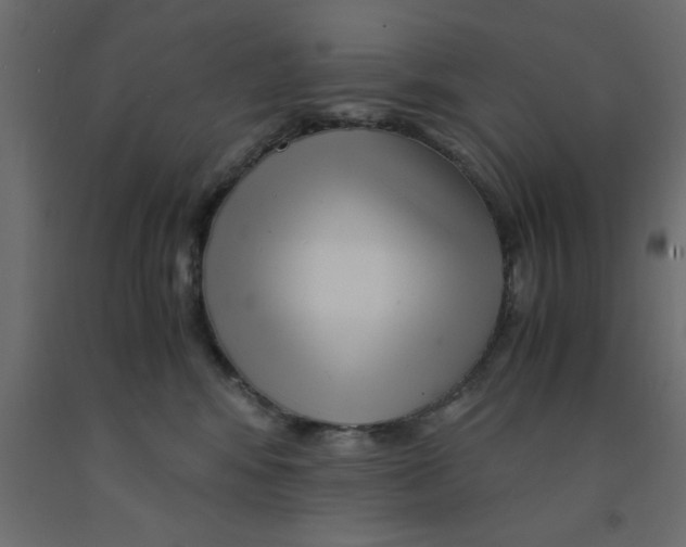 X0000090860424200708241903