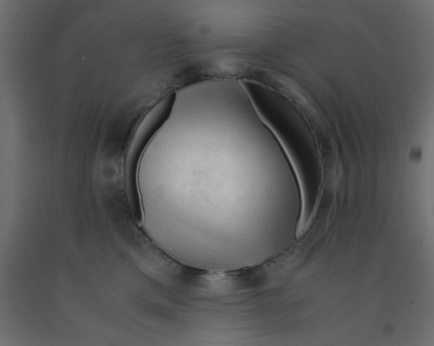 X0000090860425200708241903