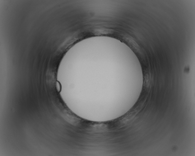 X0000090860426200708241903