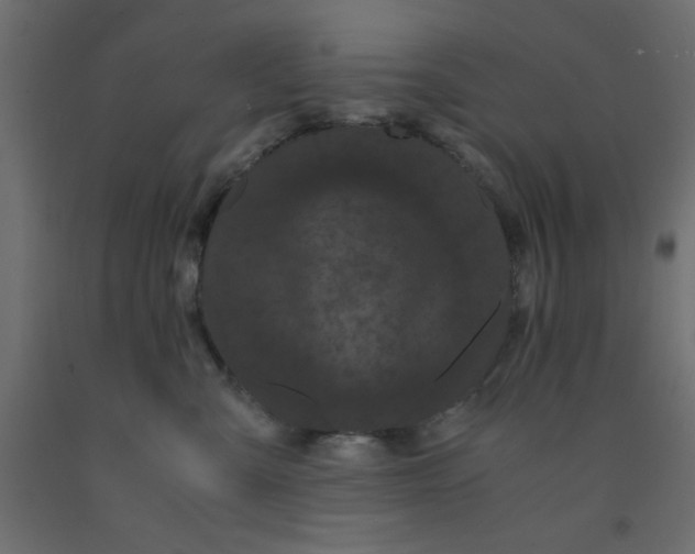 X0000090860427200708241903