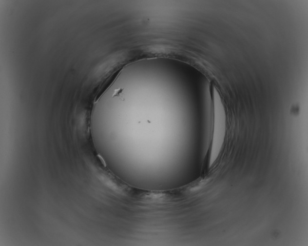 X0000090860428200708241903