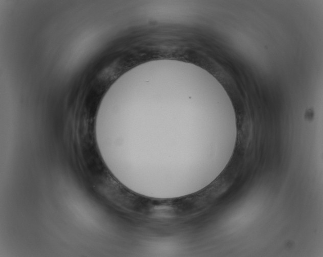 X0000090860430200708241903