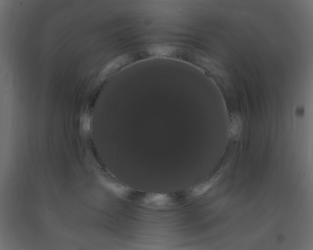 X0000090860431200708241903