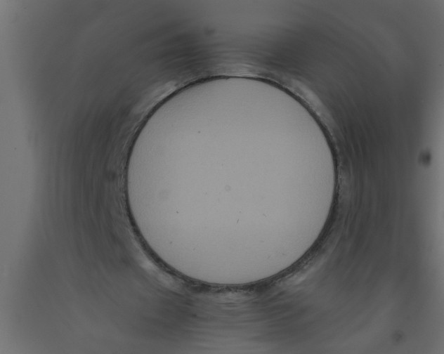 X0000090860433200708241902