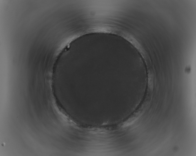 X0000090860434200708241902