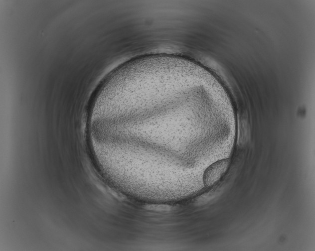 X0000090860435200708241902