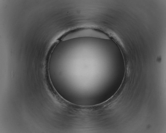 X0000090860436200708241902