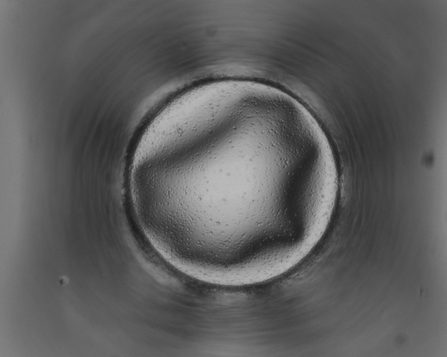 X0000090860438200708241902