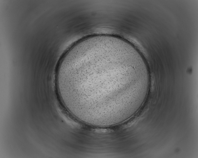 X0000090860439200708241902