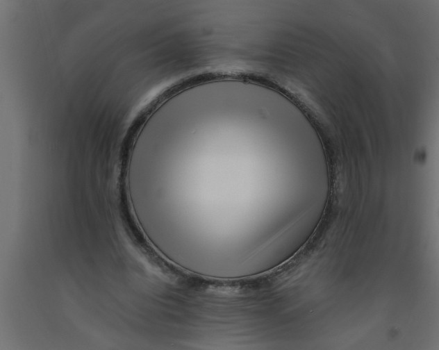 X0000090860440200708241902