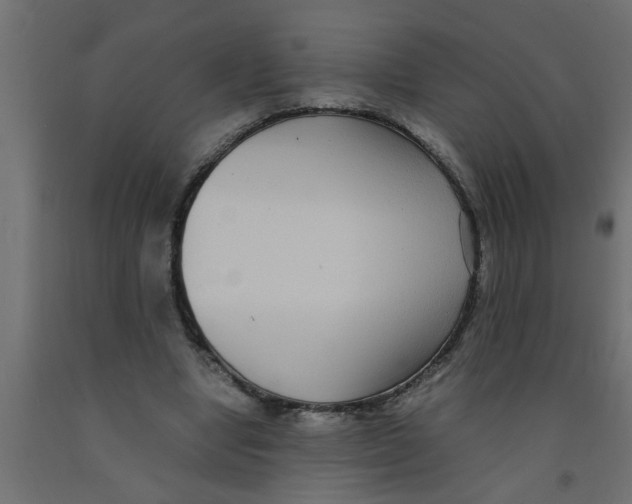 X0000090860442200708241902