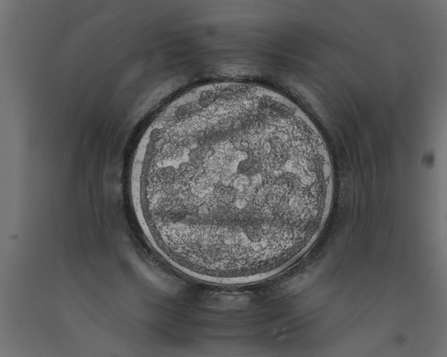 X0000090860443200708241902