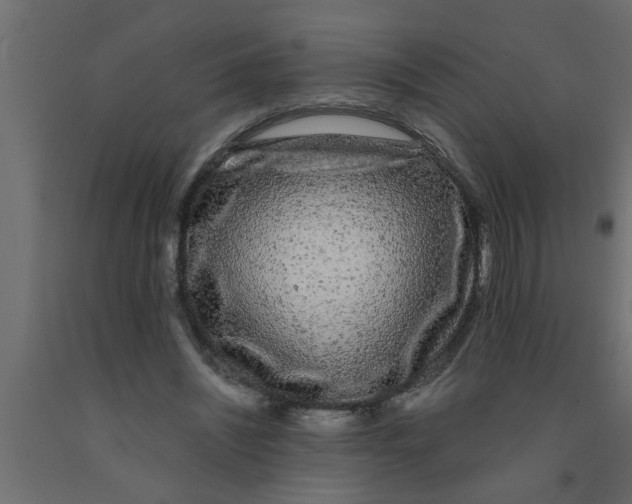 X0000090860444200708241902