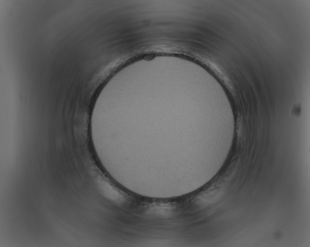 X0000090860445200708241902