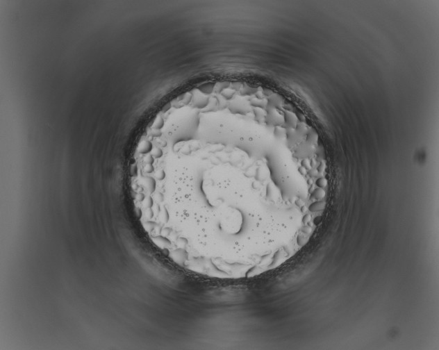 X0000090860447200708241902