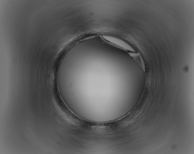 X0000090860448200708241902