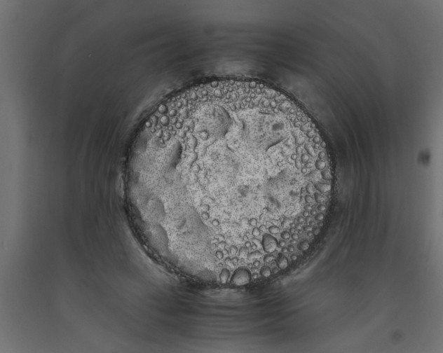 X0000090860449200708241902