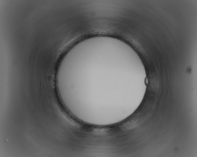 X0000090860450200708241902