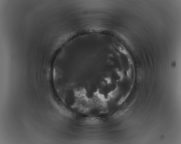 X0000090860451200708241902