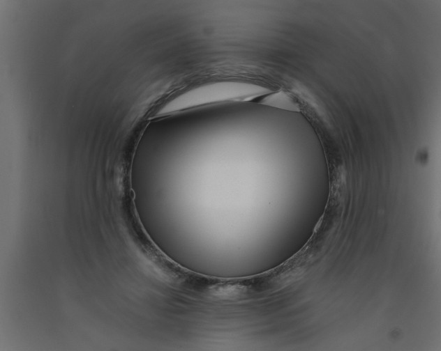 X0000090860452200708241902